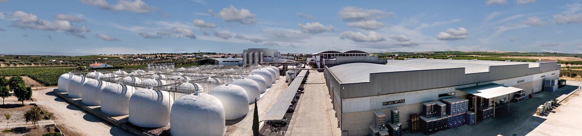 Imagem de Boas Vindas